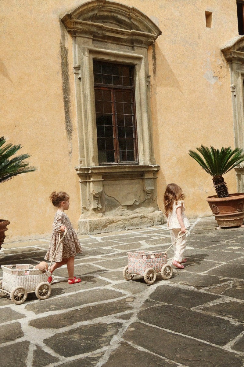 Детская коляска-тележка  / Kids Stroller Wagon - Vienna