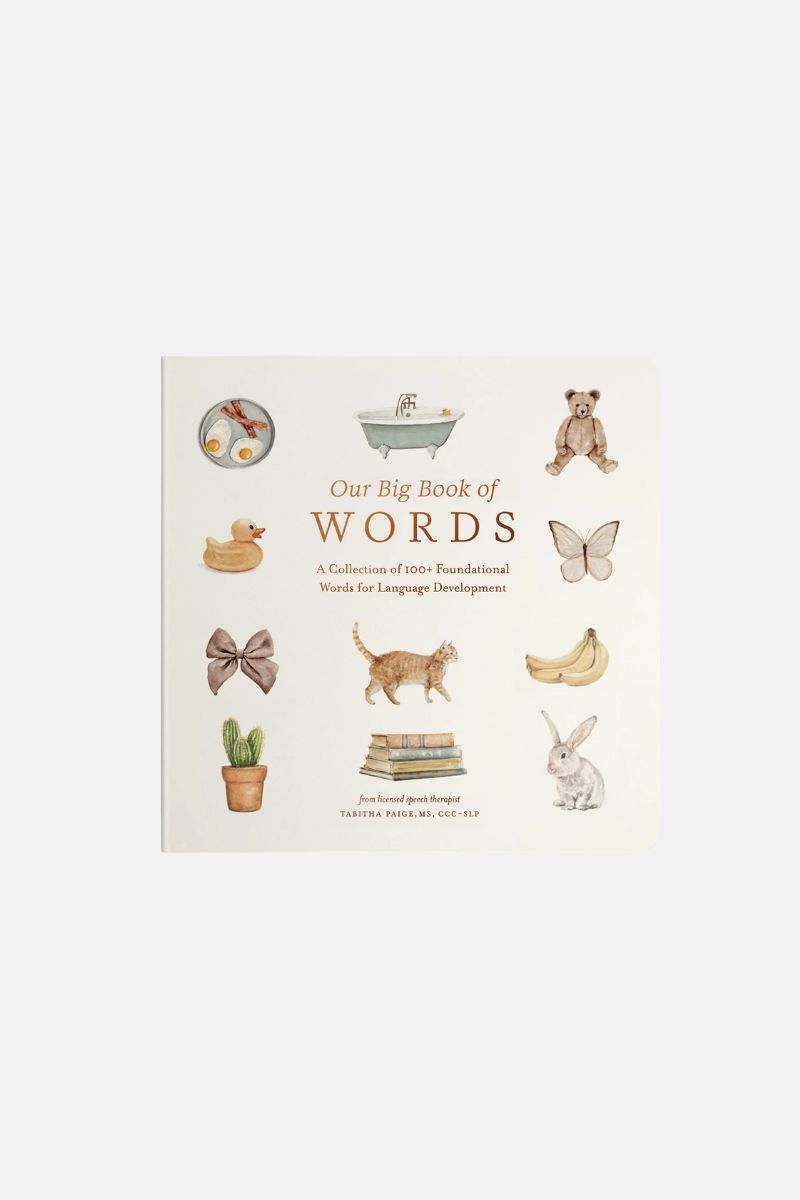 Большая книга первых слов / Our Big Book of Words