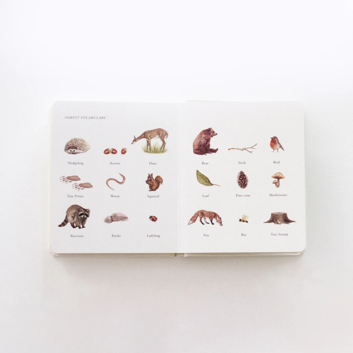 Наши маленькие приключения (набор из 3 книг) / Our Little Adventures Book Set