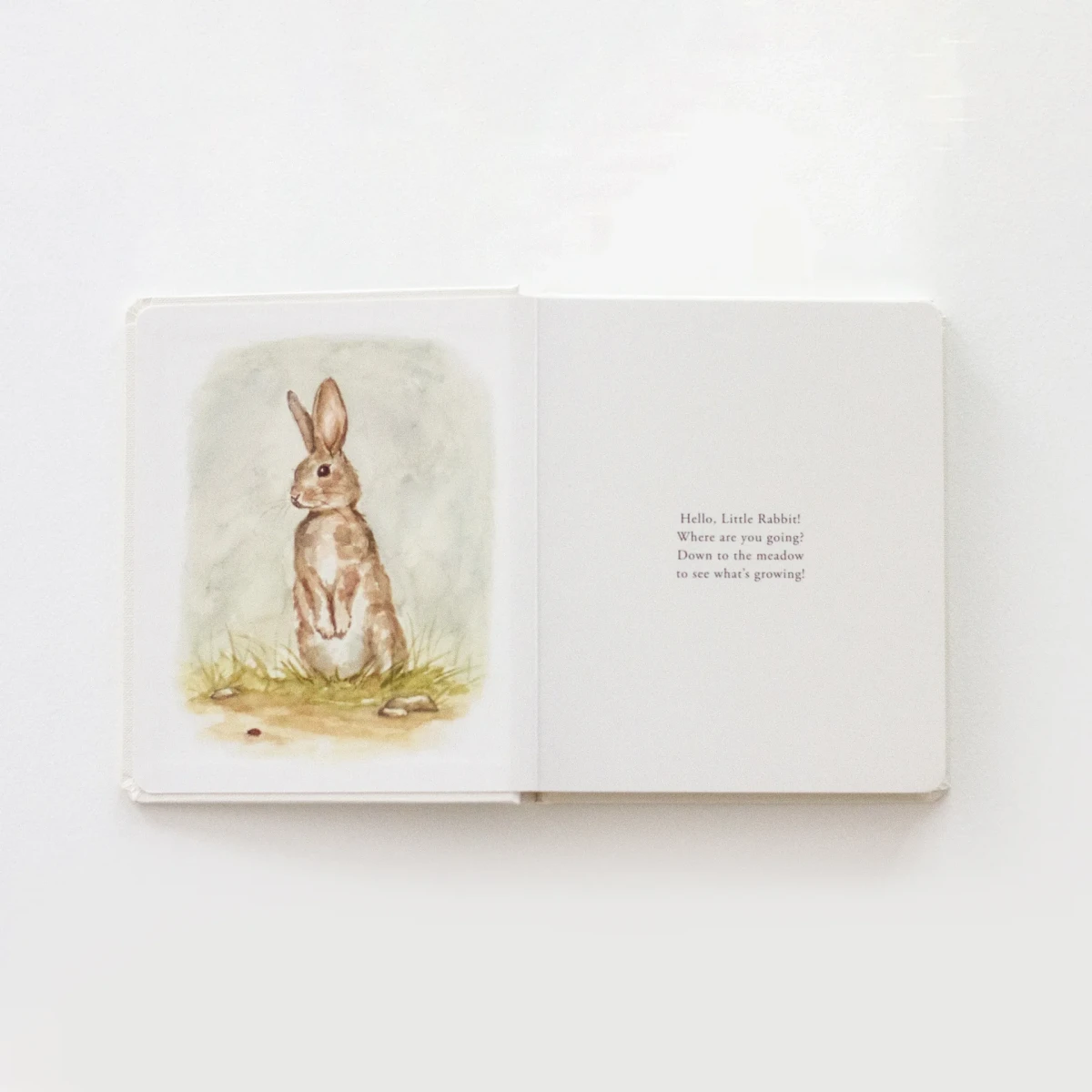 Наши маленькие приключения (набор из 3 книг) / Our Little Adventures Book Set